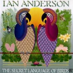 The Secret Language of Birds